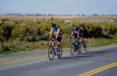 flat ride photo
